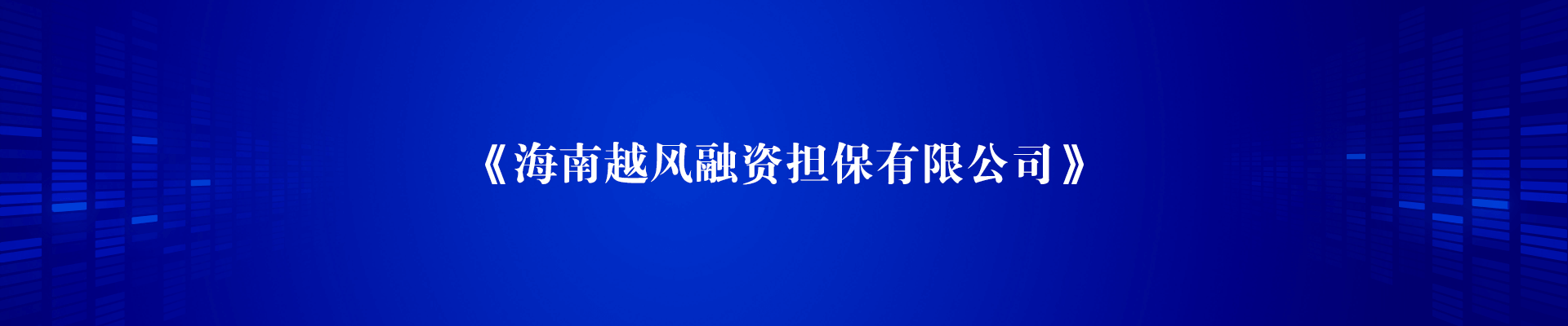 海南越风融资担保